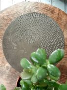 Beton tálca - suhanó