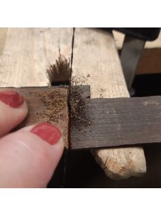 Trópusi fa ékszer workshop